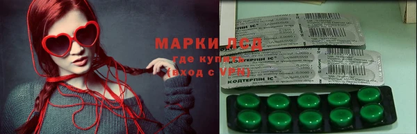 твердый Аркадак