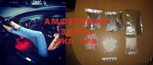 шишки Рославль