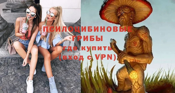 твердый Аркадак