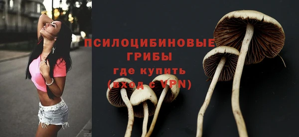 ПСИЛОЦИБИНОВЫЕ ГРИБЫ Арсеньев