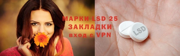 твердый Аркадак