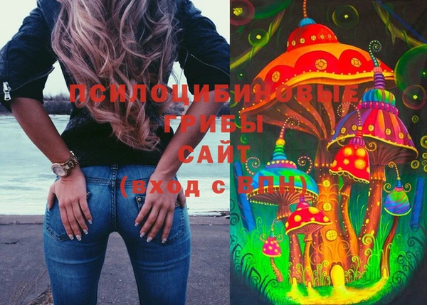 ГАЛЛЮЦИНОГЕННЫЕ ГРИБЫ Армянск