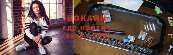 ПСИЛОЦИБИНОВЫЕ ГРИБЫ Арсеньев