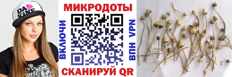 Псилоцибиновые грибы Cubensis  ссылка на мегу как зайти  Белая Холуница 